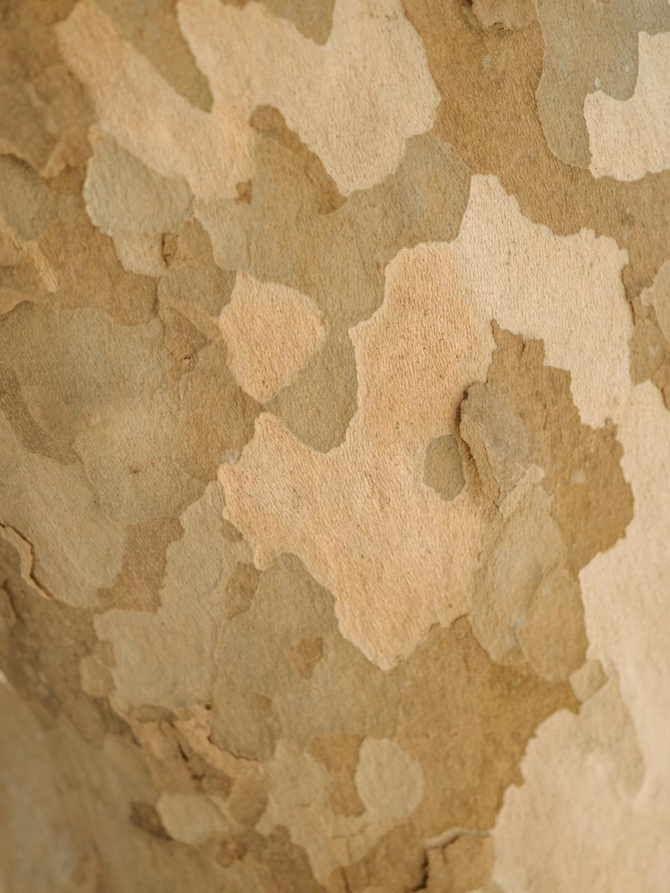 Sandstone texture