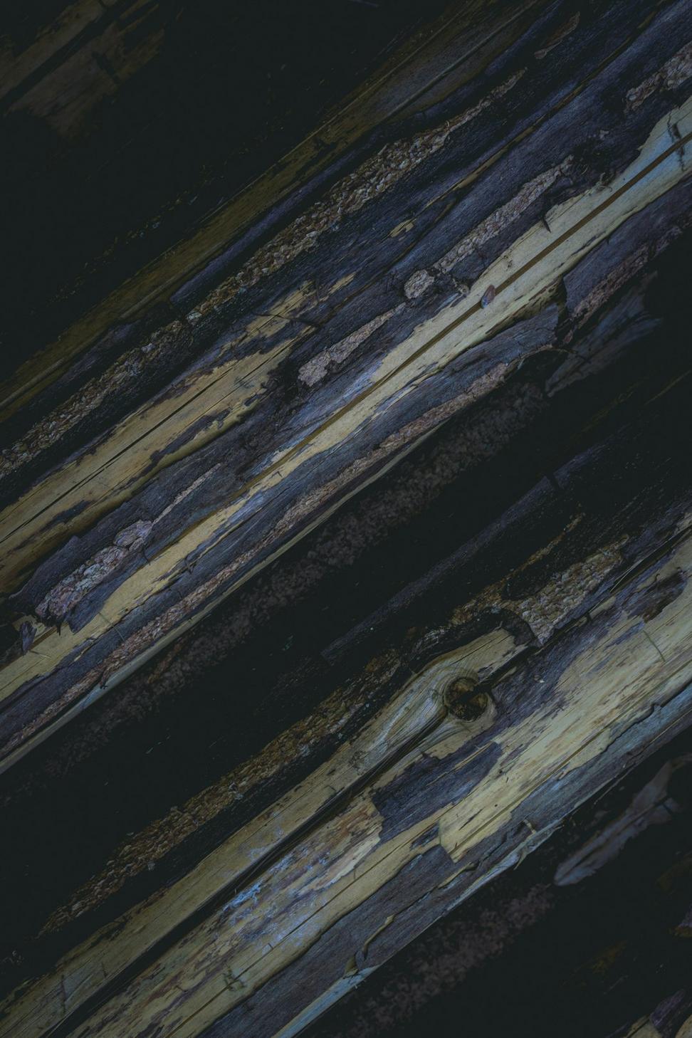 Muskox Gabbro
