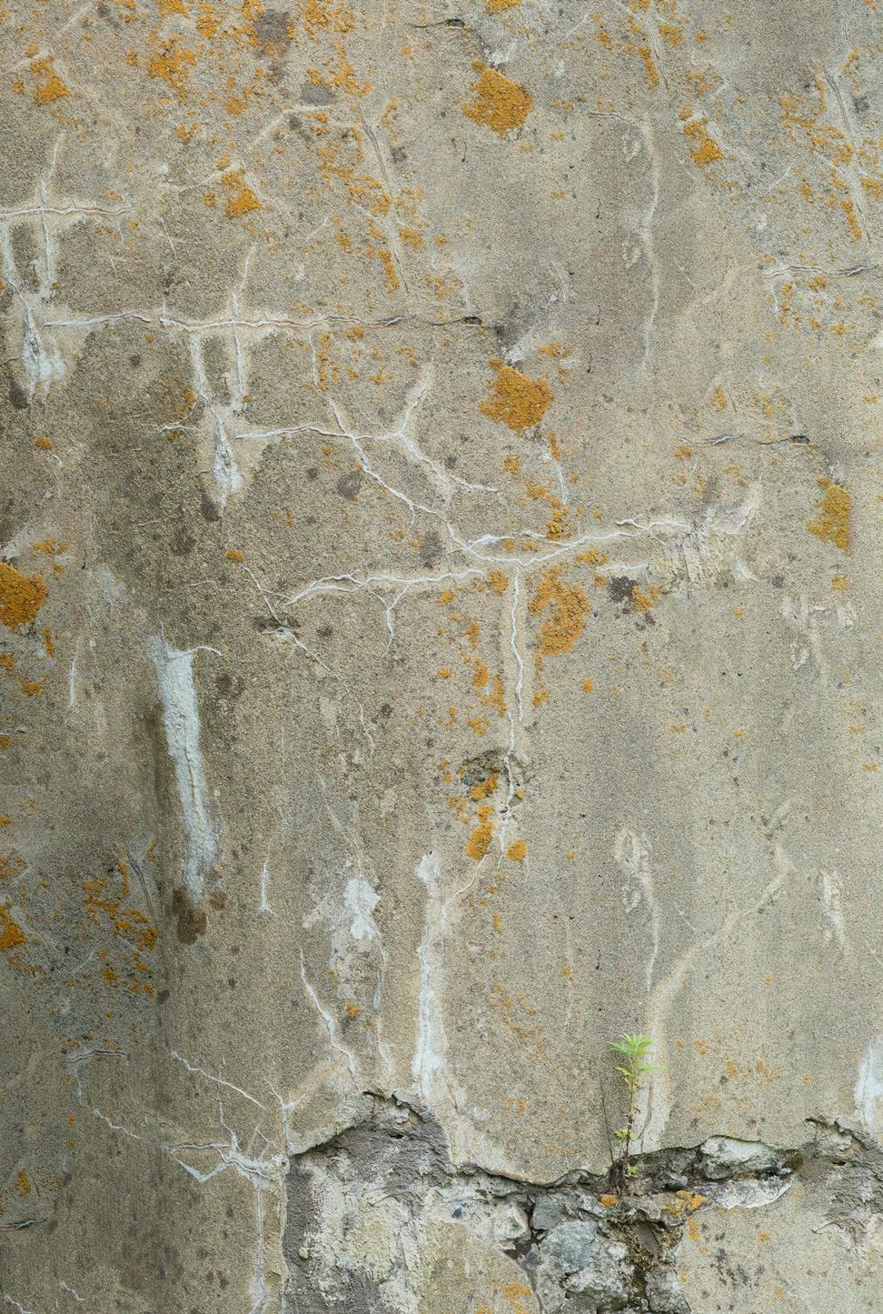 Okanagan Travertine