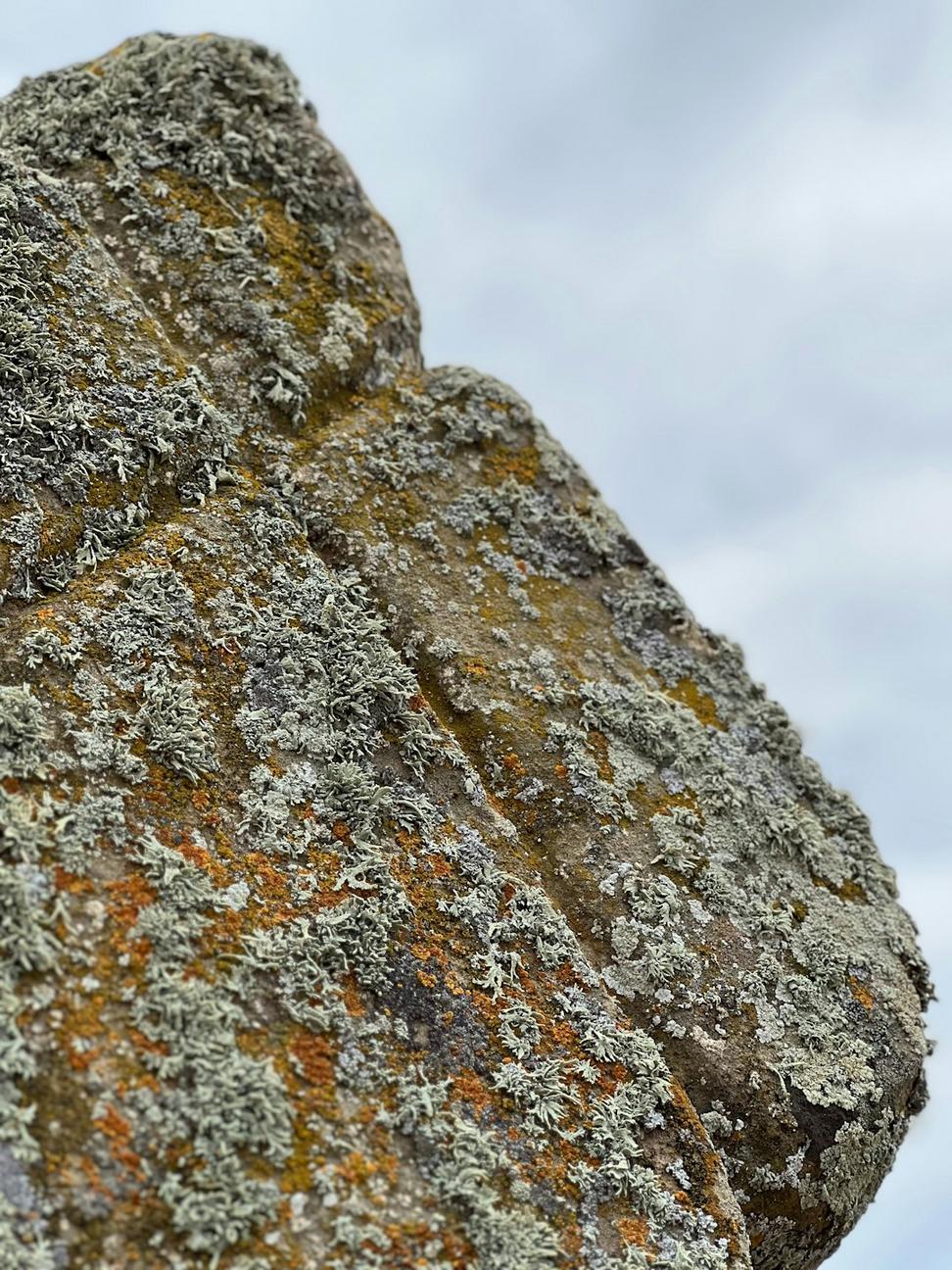 Granite closeup