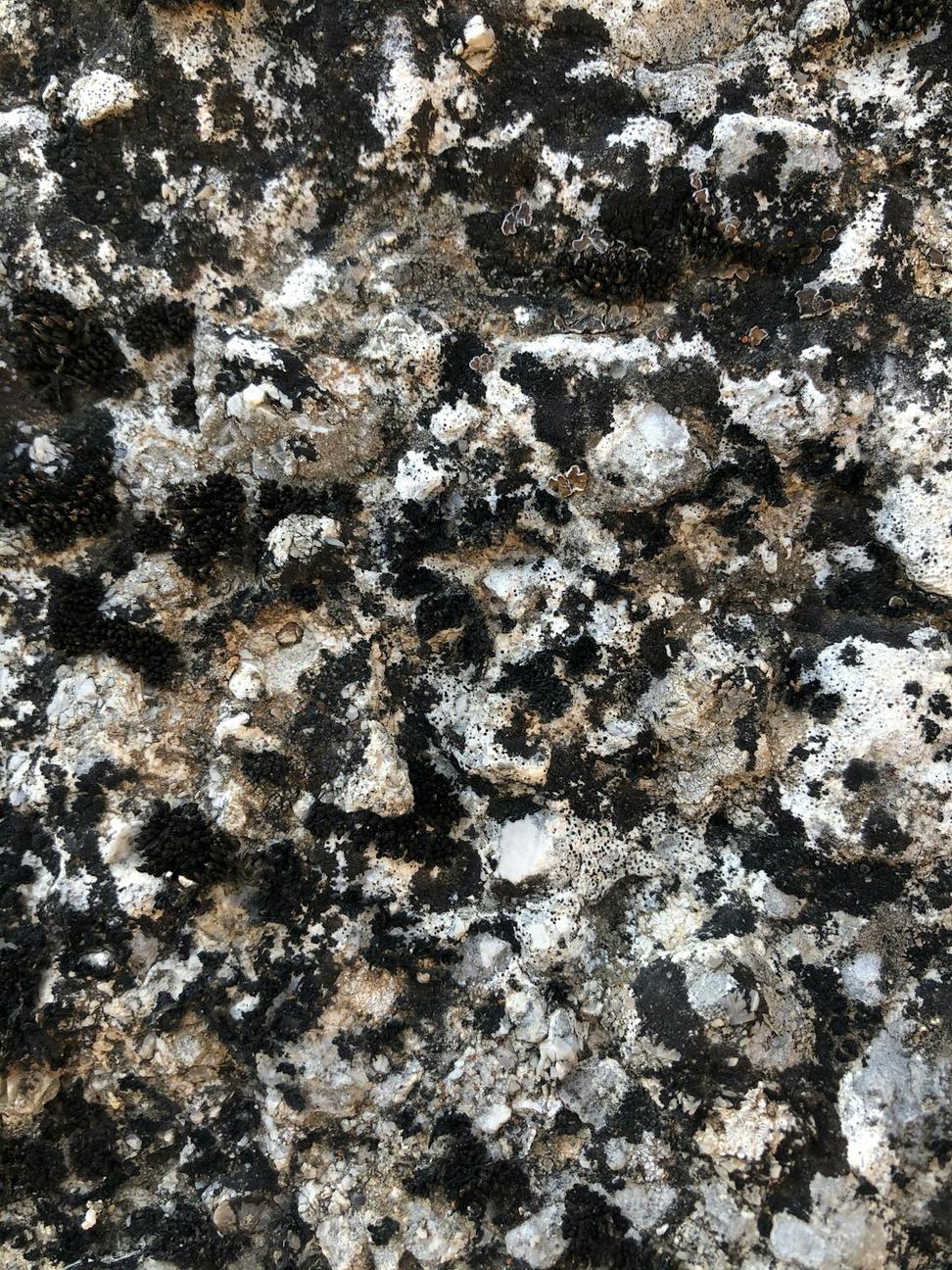 Superior Quartzite